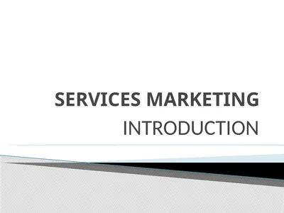 SERVICES MARKETING INTRODUCTION Salt Soft Drinks