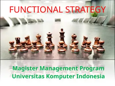 FUNCTIONAL STRATEGY Magister Management Program