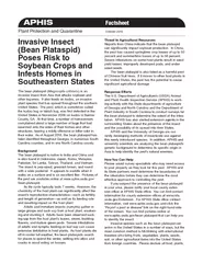 Plant Protection and Quarantine October 2010Invasive Insect Poses Risk