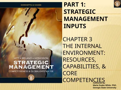 PART 1: STRATEGIC MANAGEMENT INPUTS CHAPTER 3 THE