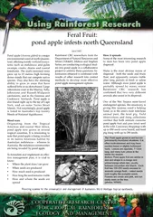 Feral Fruit:environmental weed of north Queens-land, affecting mainly