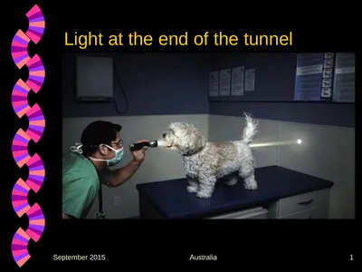 Light at the end of the tunnel September 2015