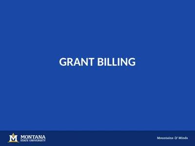 GRANT BILLING Background Grant Billing is a tool