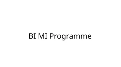 BI MI Programme BI MI Programme Overview The basic
