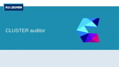 CLUSTER auditor 2 External ‘The Big 4’ Ernst &