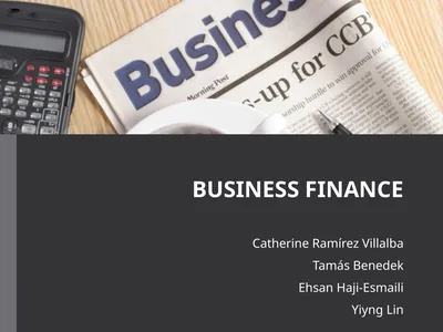 BUSINESS FINANCE Catherine Ramírez Villalba Tamás