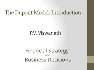 The Dupont Model: Introduction P.V. Viswanath