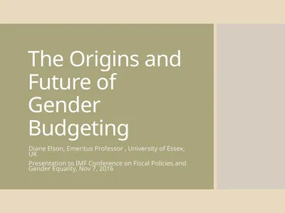 The Origins and Future of Gender Budgeting Diane