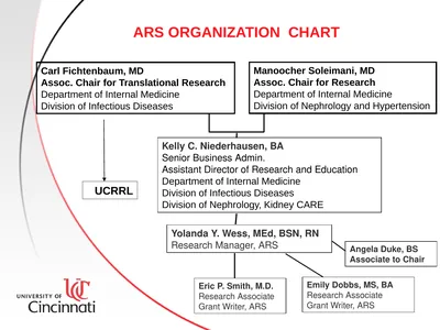 1 Carl Fichtenbaum, MD Assoc. Chair for