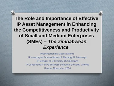 The Role and Importance of Effective IP Asset