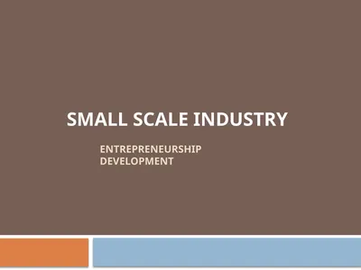 Entrepreneurship Development SMALL SCALE INDUSTRY