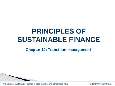 1 PRINCIPLES OF SUSTAINABLE FINANCE Chapter 12: