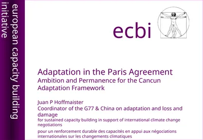 Adaptation in the Paris Agreement Ambition and
