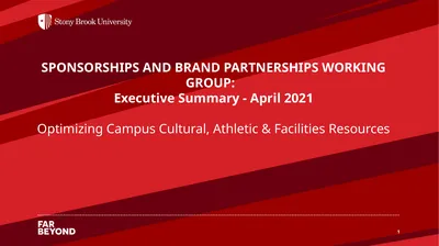 SPONSORSHIPS AND BRAND PARTNERSHIPS WORKING GROUP: