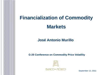 September 13, 2011 Financialization of Commodity