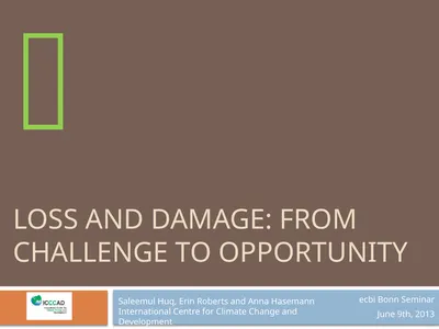 Loss and Damage: From challenge to opportunity