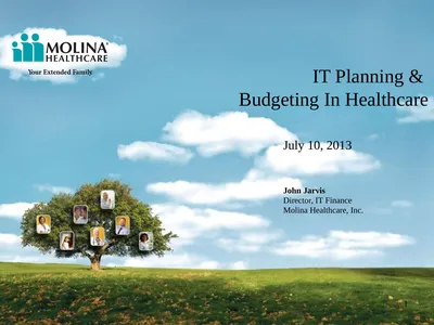 IT Planning & Budgeting In Healthcare July 10,