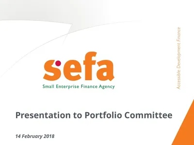 Presentation to Portfolio Committee 14 February