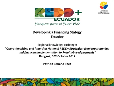 Developing a Financing Stategy Ecuador Regional