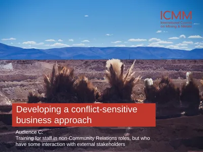 Developing a conflict-sensitive business approach