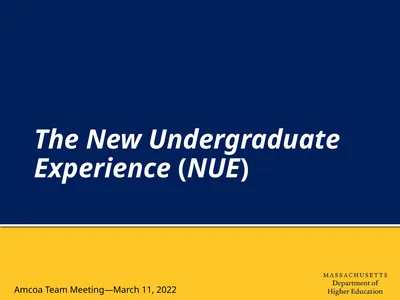 The New Undergraduate Experience (NUE) Amcoa Team