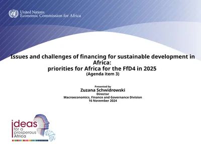 Issues and challenges of financing for sustainable
