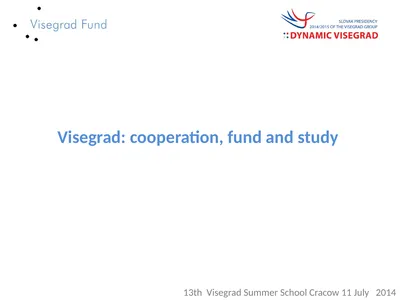 Visegrad: cooperation, fund and study 13th