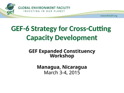 GEF-6 Strategy for Cross-Cutting Capacity