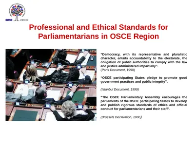 Professional and Ethical Standards for
