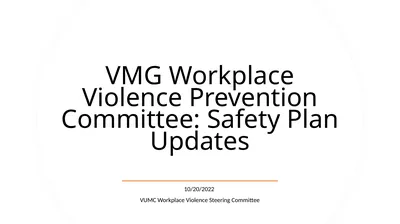 VMG Workplace Violence Prevention Committee: