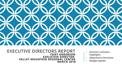 Executive Directors Report Tony Anderson Executive