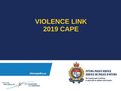VIOLENCE LINK 2019 CAPE INTRODUCTION SGT TEENA