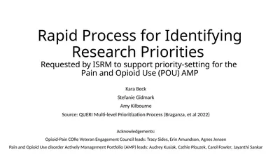 Rapid Process for Identifying Research Priorities
