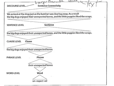 1 2 Phrases are larger structural units that come