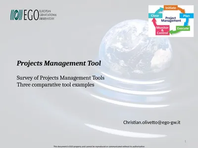 Projects Management Tool Survey of Projects