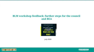 BLM workshop feedback; further steps for the