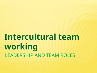 Leadership and team roles Intercultural team