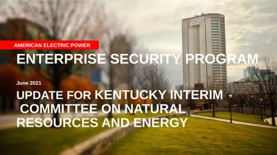 ENTERPRISE SECURITY PROGRAM AMERICAN ELECTRIC