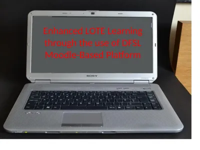 Enhanced LOTE Learning through the use of DFSL