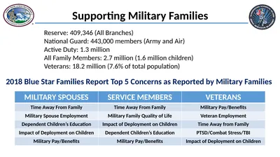 Supporting Military Families Reserve: 409,346 (All
