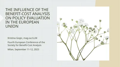 THE INFLUENCE OF THE BENEFIT-COST ANALYSIS ON