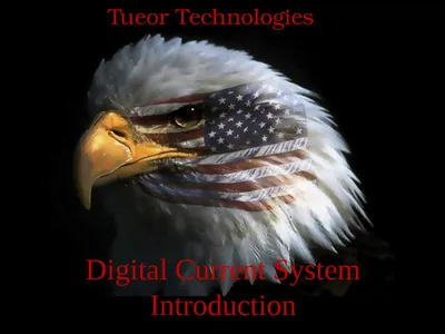 WINS Tueor Technologies Digital Current System