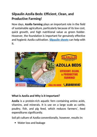 Silpaulin Azolla Beds: Efficient, Clean, and Productive Farming!