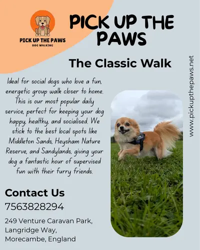 The Classic Walk