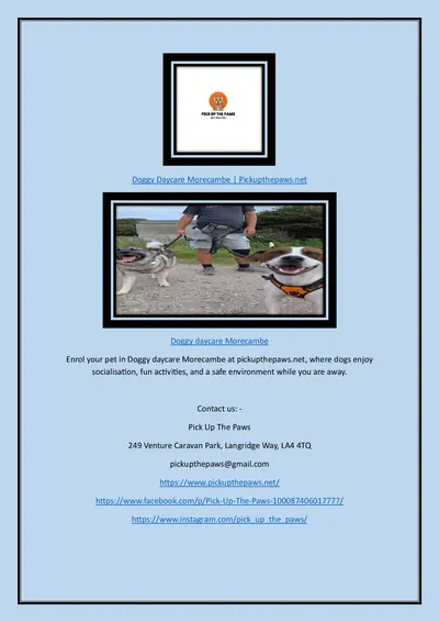 Doggy Daycare Morecambe | Pickupthepaws.net