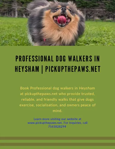 Professional Dog Walkers In Heysham | Pickupthepaws.net