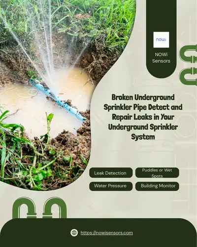 Broken Underground Sprinkler Pipe Detect and Repair Leaks in Your Underground Sprinkler System
