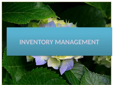 INVENTORY MANAGEMENT MEANING OF INVENTORY