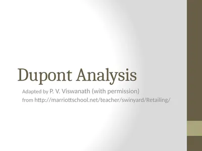 Dupont Analysis Adapted by P. V. Viswanath (with