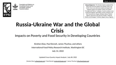 Russia-Ukraine War and the Global Crisis Impacts